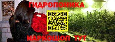 тгк Кандалакша