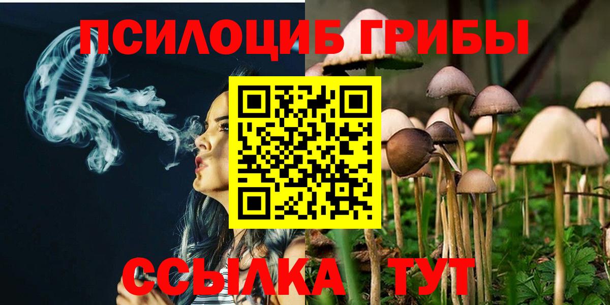 Галлюциногенные грибы MAGIC MUSHROOMS  Вход с VPN  Псилоцибиновые грибы Psilocybine cubensis  Кувандык 