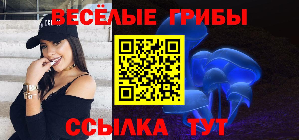 Псилоцибиновые грибы Psilocybine cubensis Кувандык